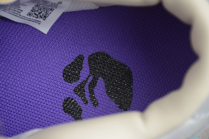 ofw x dunk low “28 of 50” dm1602-111