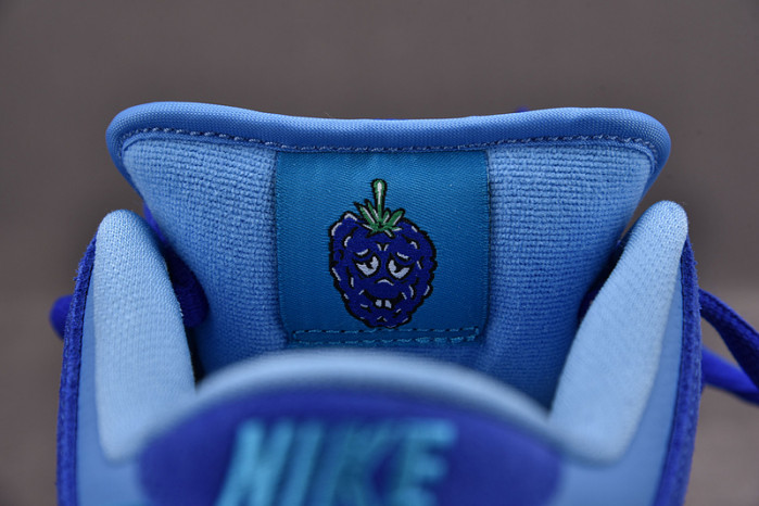 nike sb dunk low blue raspberry dm0807-400